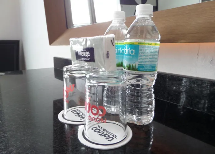 Hotel Novo Coapa 4*