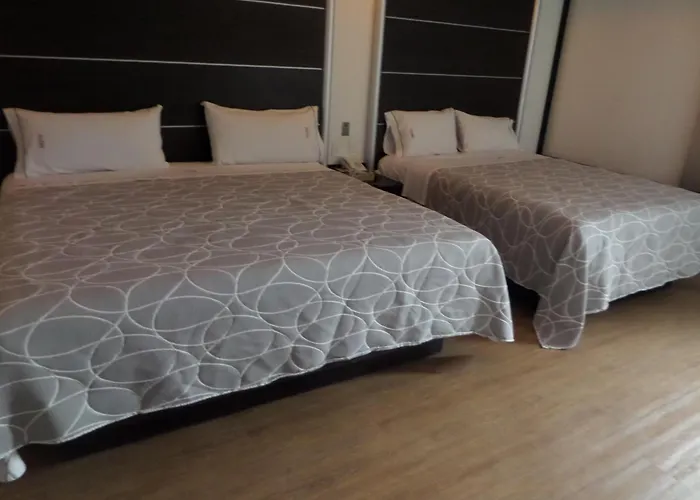 Hotel Novo Coapa 4*
